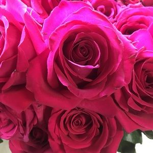 Meet your Posher, Juanita